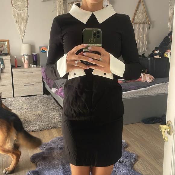 Brand new - Picture 2 of 8